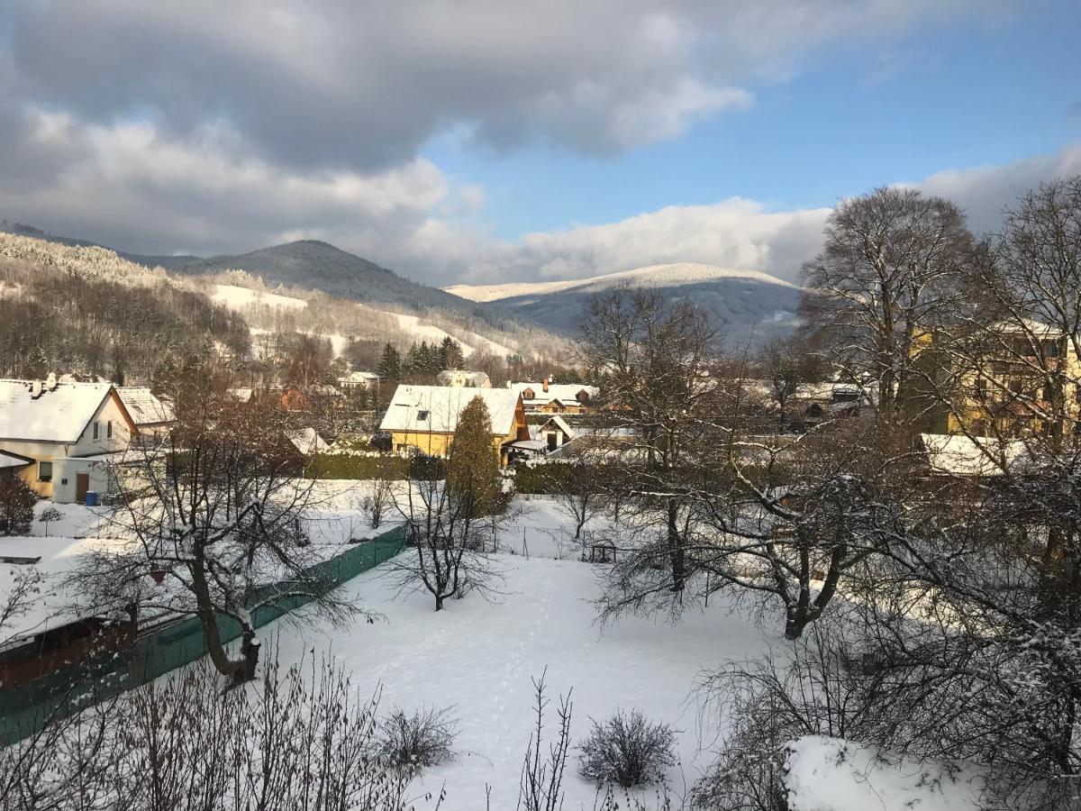 Mezonetovy Apartman Isabela Лоучна-над-Десноу Экстерьер фото
